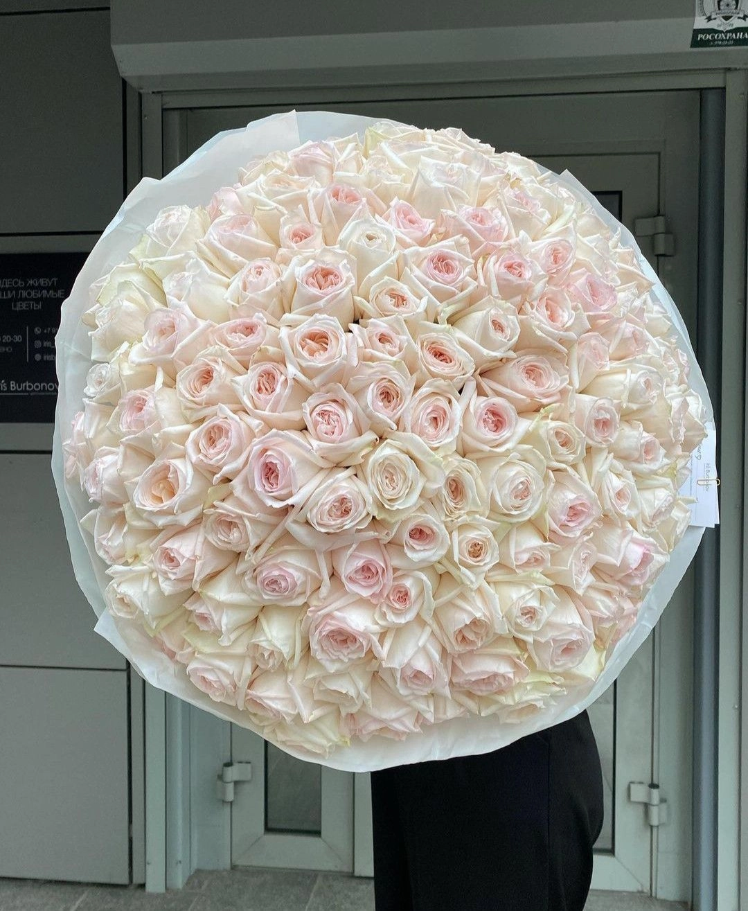 ROSES