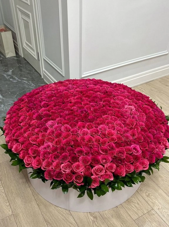 301-401-501 роза