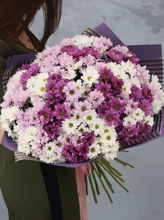 Микс хризантем